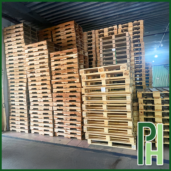 Pallet gỗ keo